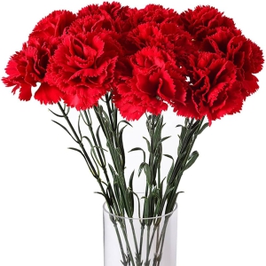 Antalya Lara Flower Order - Carnations