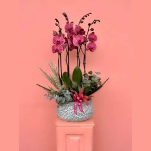  Antalya Lara Send Flowers - Orchids