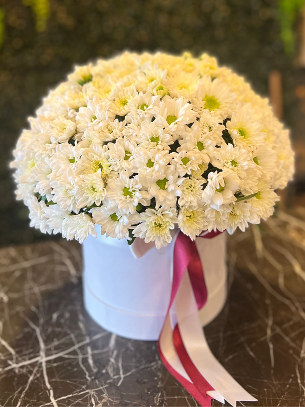  Antalya Lara Florists - DAISY BOX